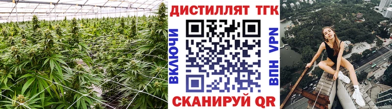 Дистиллят ТГК вейп  Кашин 